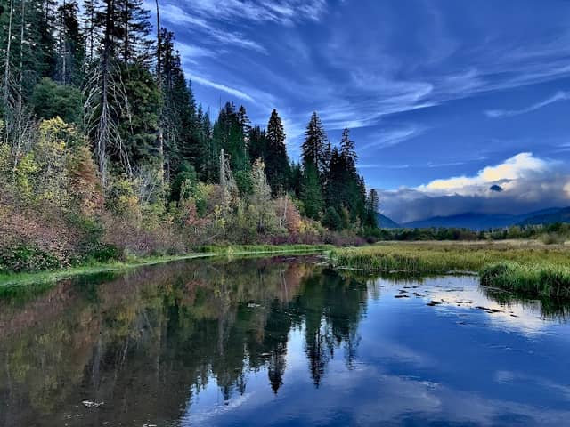 Trout Creek Meadow And Trails - Image 3