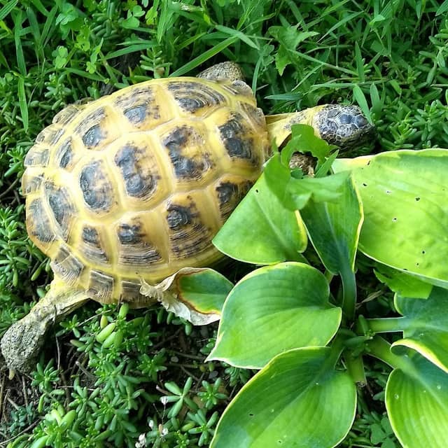 Turtle Power Park - Image 2