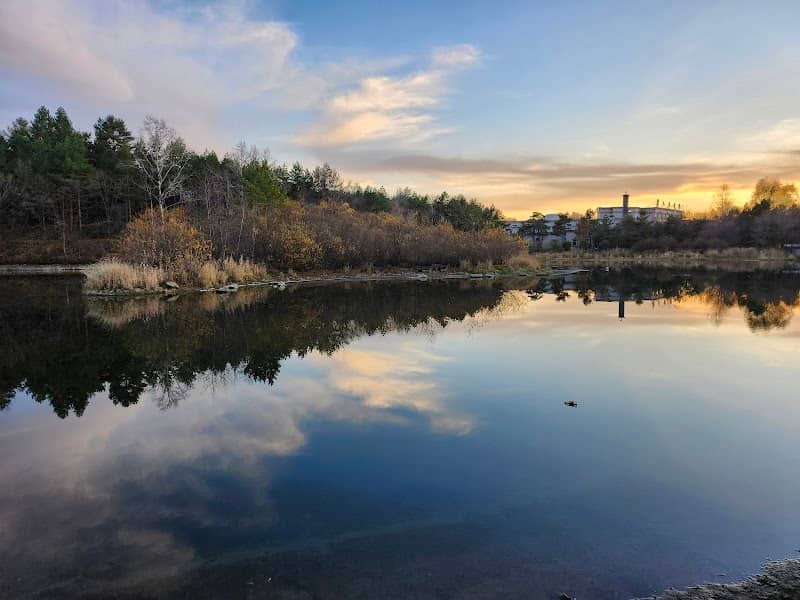 beauty pine park - Image 2