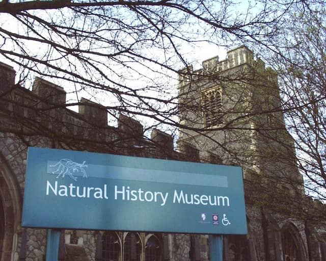 Natural History Museum - Image 1