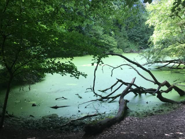 Kalwes/Klosterbusch Bochum - Image 2