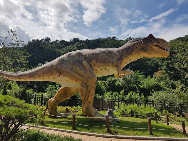Gosangol Dinosaur Park - Image 1