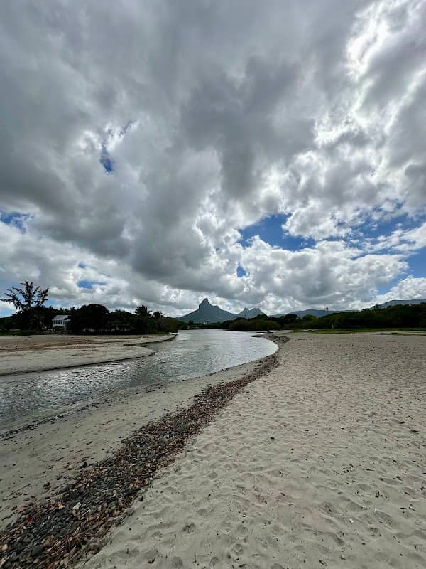 Tamarin river meet the sea - Image 3