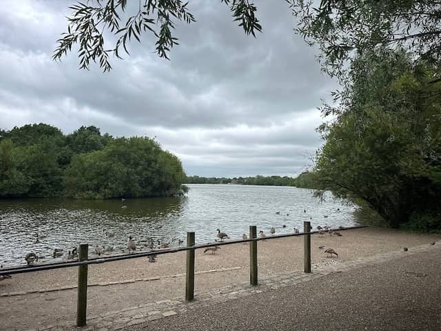 Dinton Pastures Country Park - Image 1