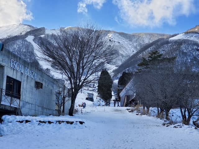 Hakuba Goryu Snow Resort - Image 3