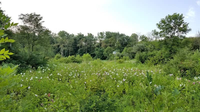Kroger Wetlands - Image 1