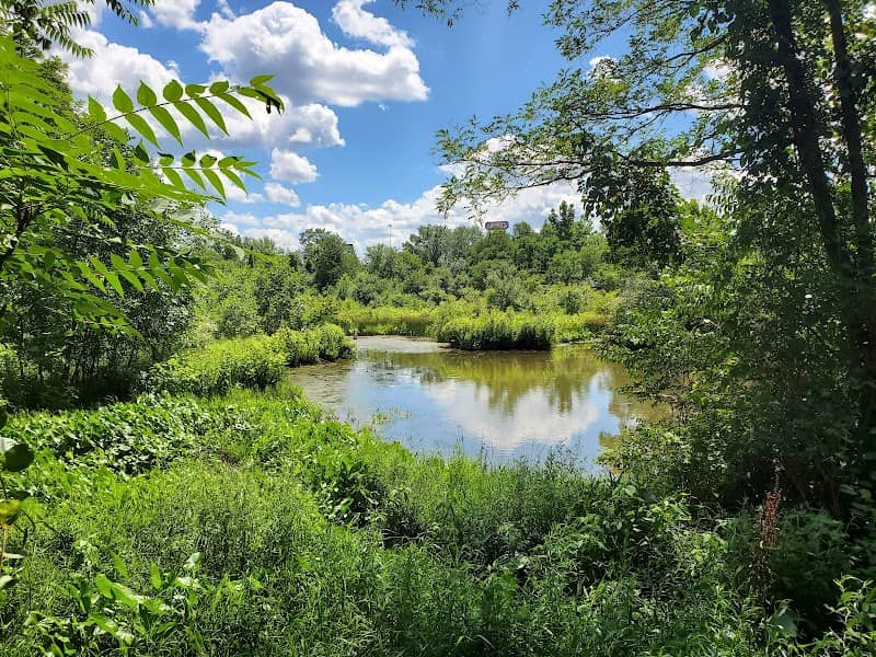Kroger Wetlands - Image 2
