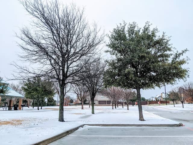 Crescent Park - Image 2