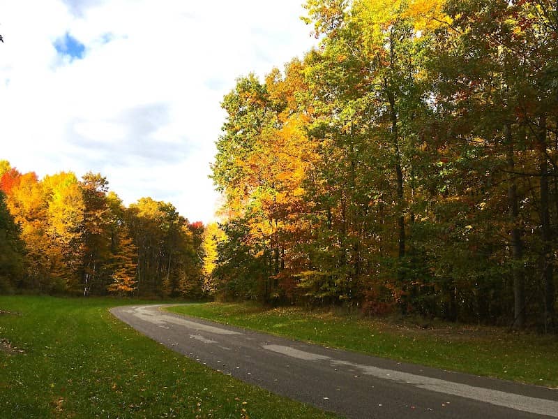 Northwestern REC Community Forest - Image 1