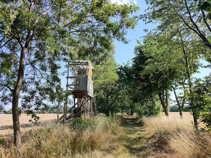 Wunschwitzer Ausichtsturm - Image 1