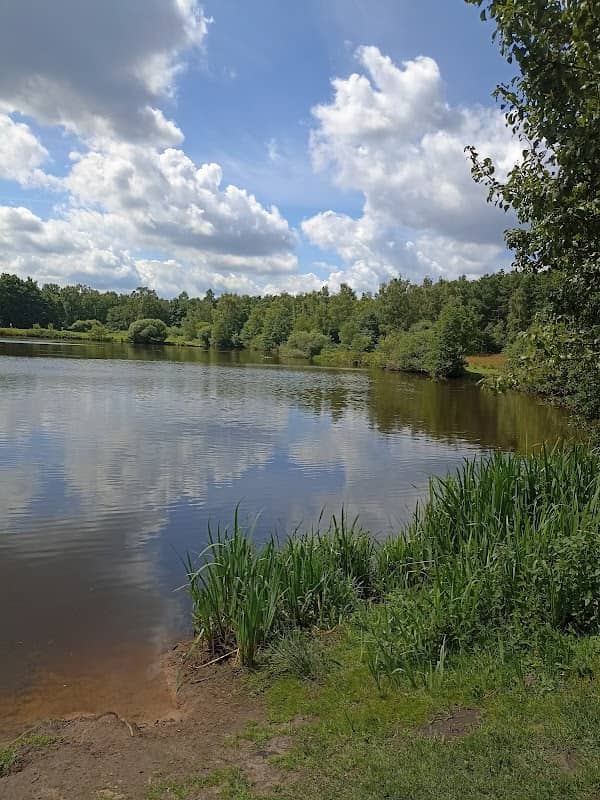 Haselünner See II - Image 2