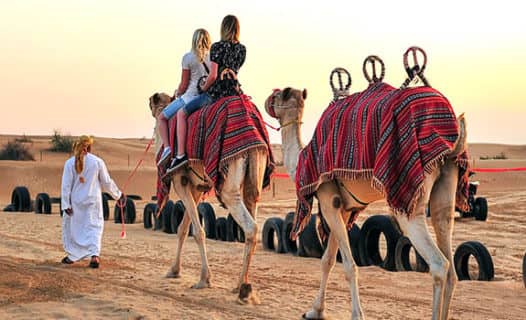 letsgo4desertsafari - Image 2