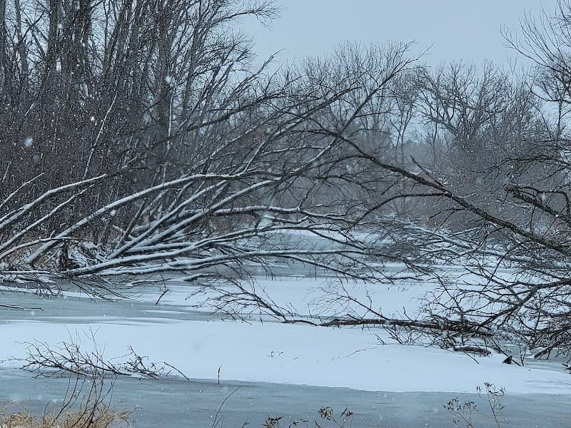Palo Marsh Natural Area - Image 2