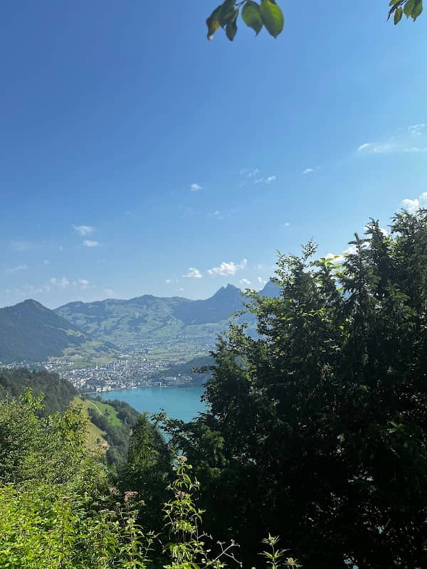 Wiege der Schweiz Fotospot Rütli - Image 2
