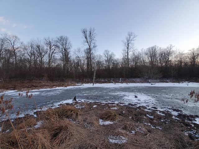 Paw Paw Marsh - Image 1
