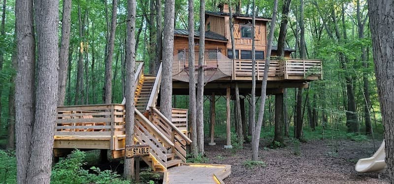 Cannaley Treehouse Village - Image 2