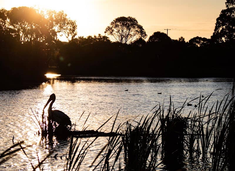 St Leonards Lake Reserve - Image 3