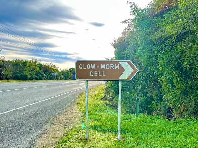 Glow Worm Dell - Image 1