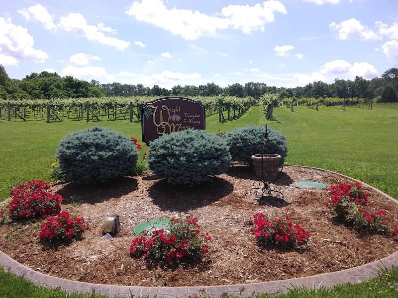 Wight-Meyer Vineyards & Winery - Image 1