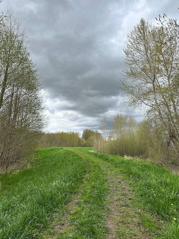 Ted Reep Trail - Image 1