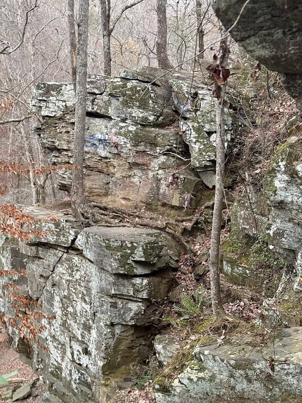 Allenbrook House - Image 1