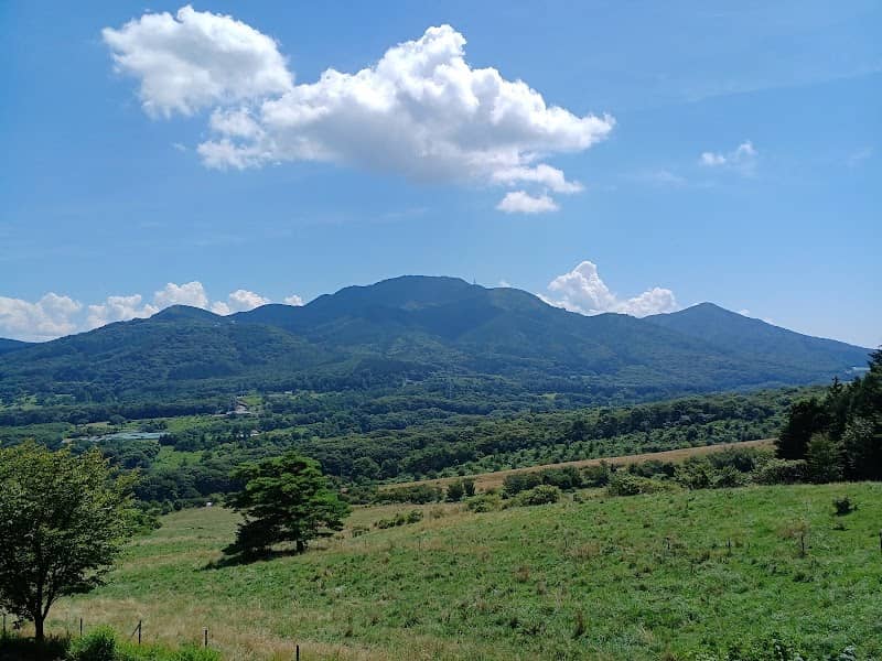 高山高原牧場の展望台 - Image 1