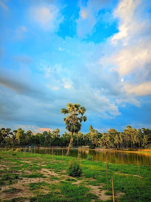 কাদলা মধ্যে পাড়া দীঘি - Image 1