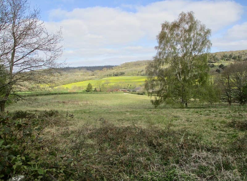 National Trust - Abinger Roughs and Netley Park - Image 1