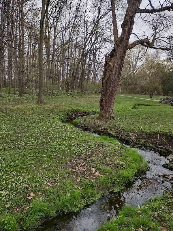 Arboretum Park - Image 1