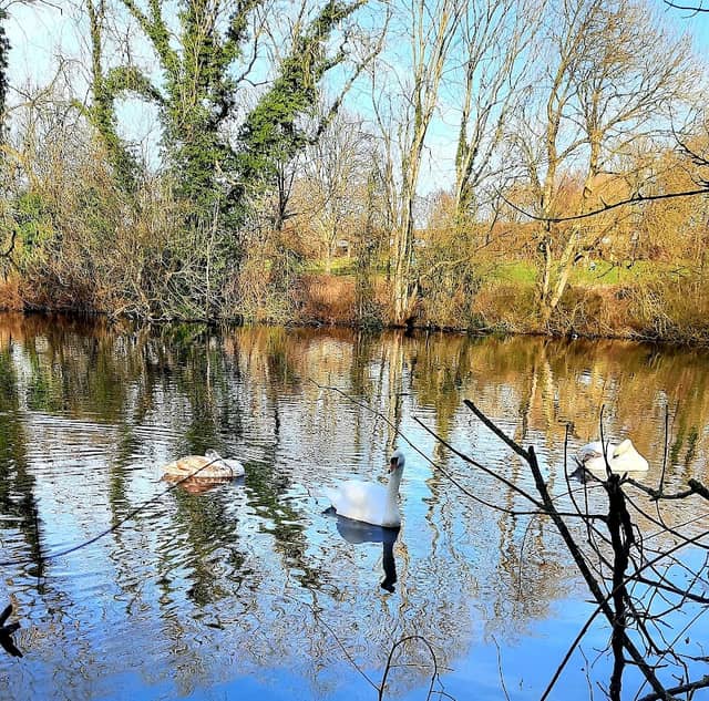 Campsall Country Park - Image 2