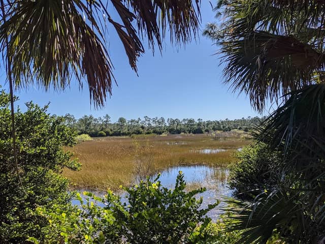 Pine Lake Preserve - Image 1