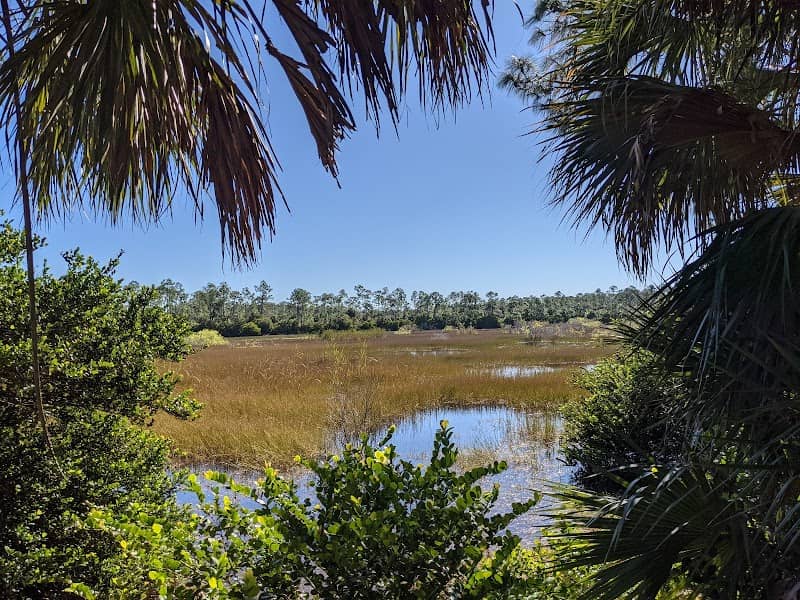 Pine Lake Preserve - Image 1