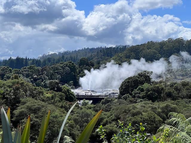 Papakura Geyser - Image 1