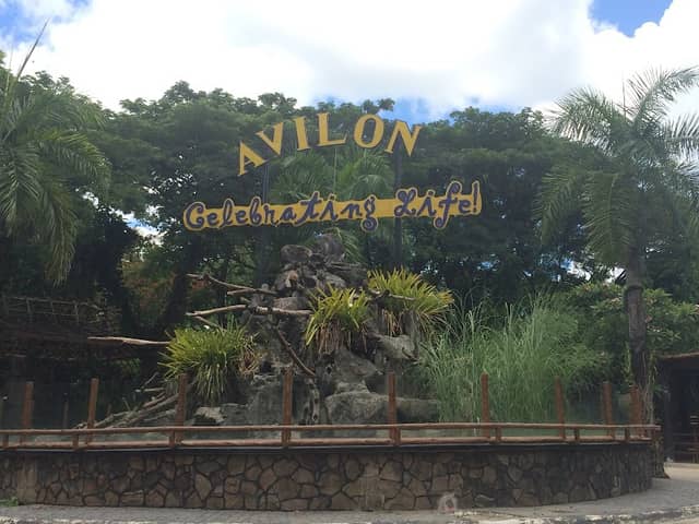Avilon Zoo - Image 1