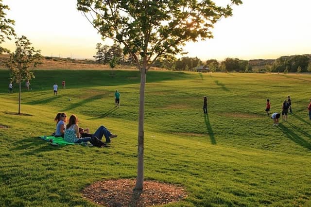 Tallman Meadow Park - Image 1