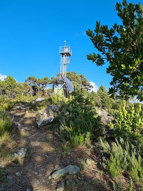 Monte Roncali - Image 2