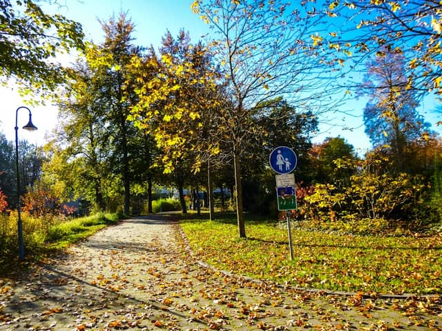 Stadtpark Brunnen - Image 1