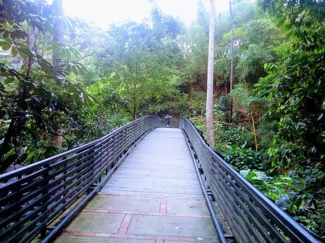 Mojarras Park - Image 1