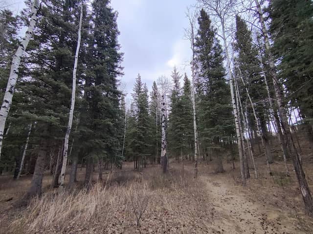 Natural Resources Interpretive Park - Image 2