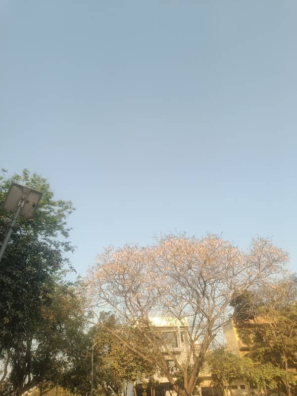 Dayanand Saraswati Park - Image 1