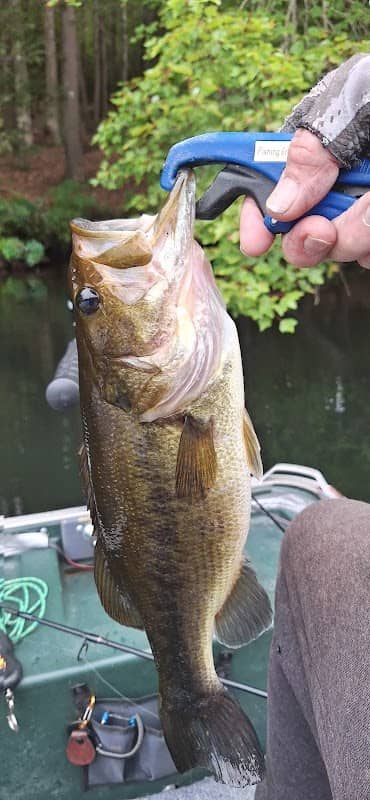 Hampton Ponds - Image 1