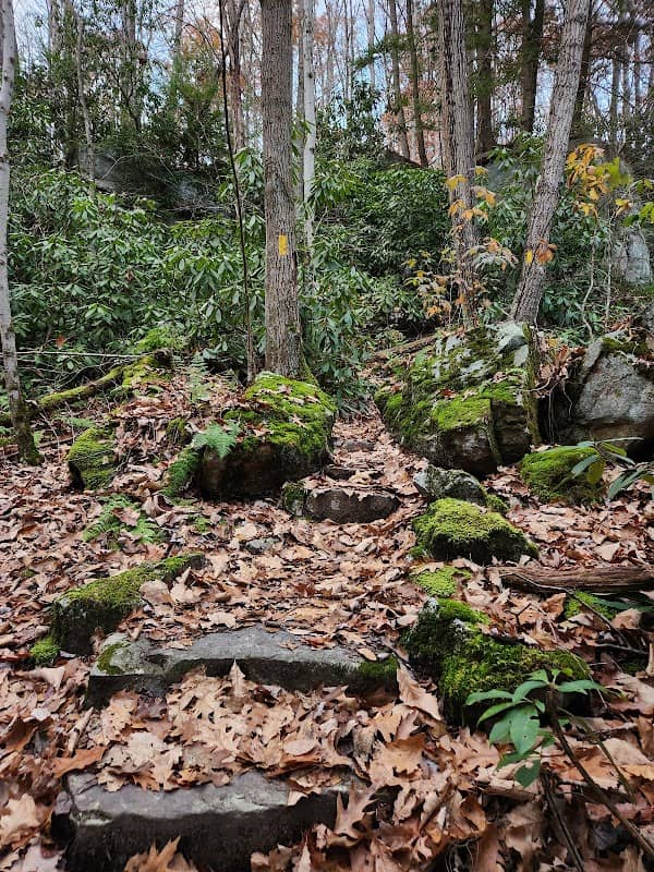 Cascades Water Fall - Image 2