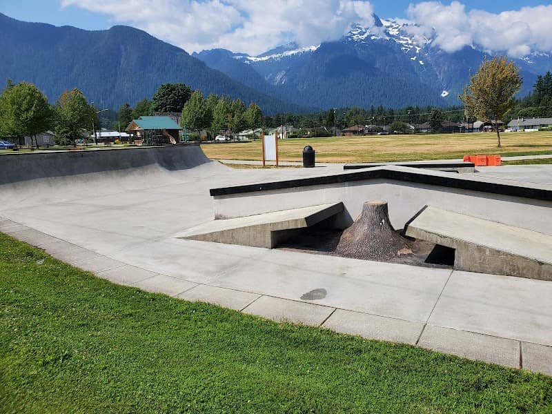 Darrington Skatepark - Image 1