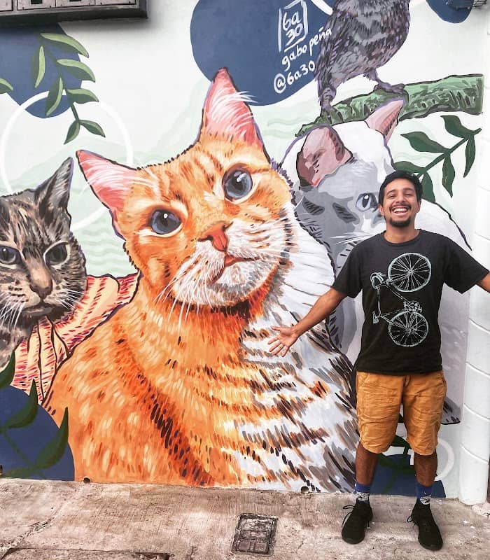 Mural gatitos Urdesa - Image 2