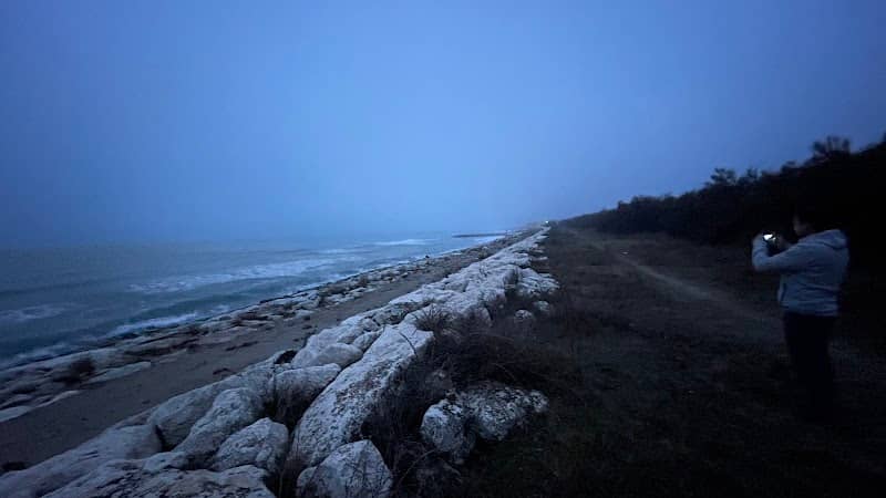 Po Delta Regional Park - Image 1