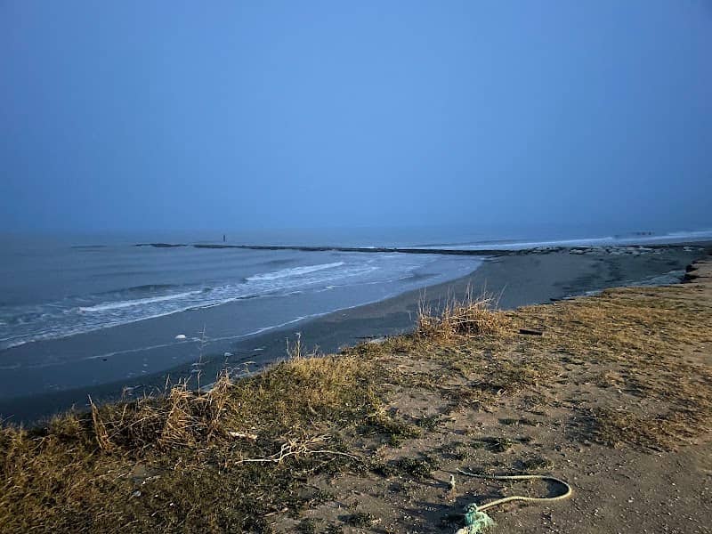 Po Delta Regional Park - Image 2