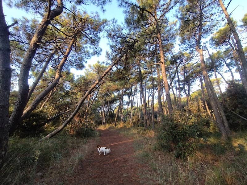 Po Delta Regional Park - Image 3