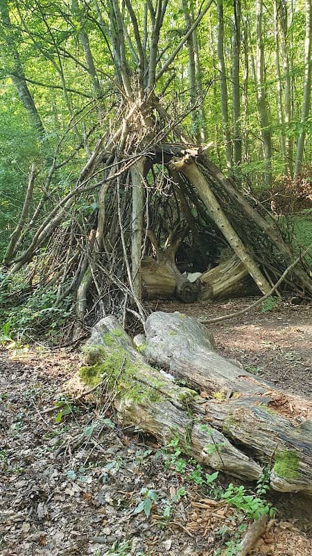 Station 12 - Waldrebe, Naturerlebnisweg - Image 1