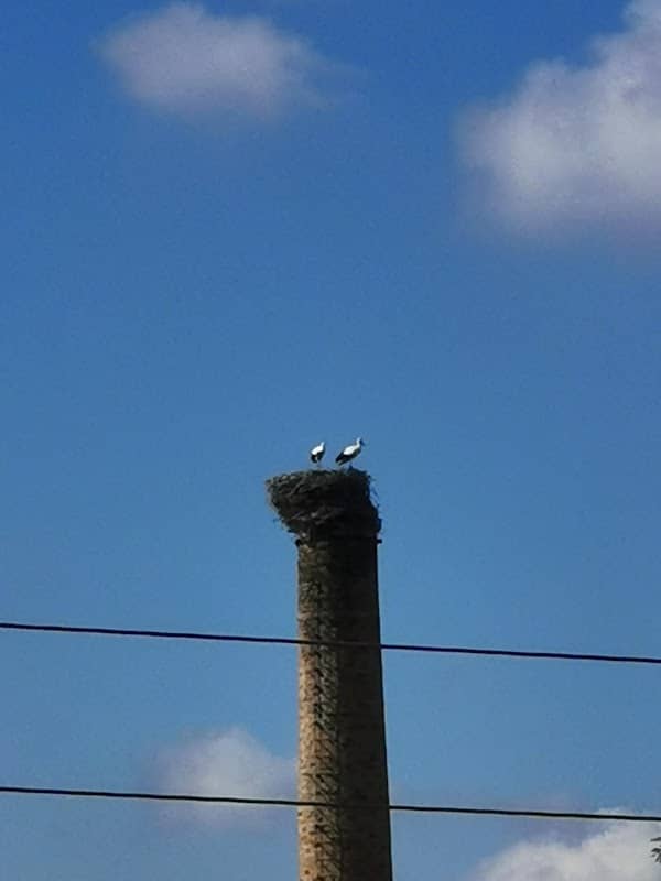 Storchennest Dewitz - Image 2