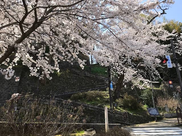 石伐坂(W坂) - Image 2